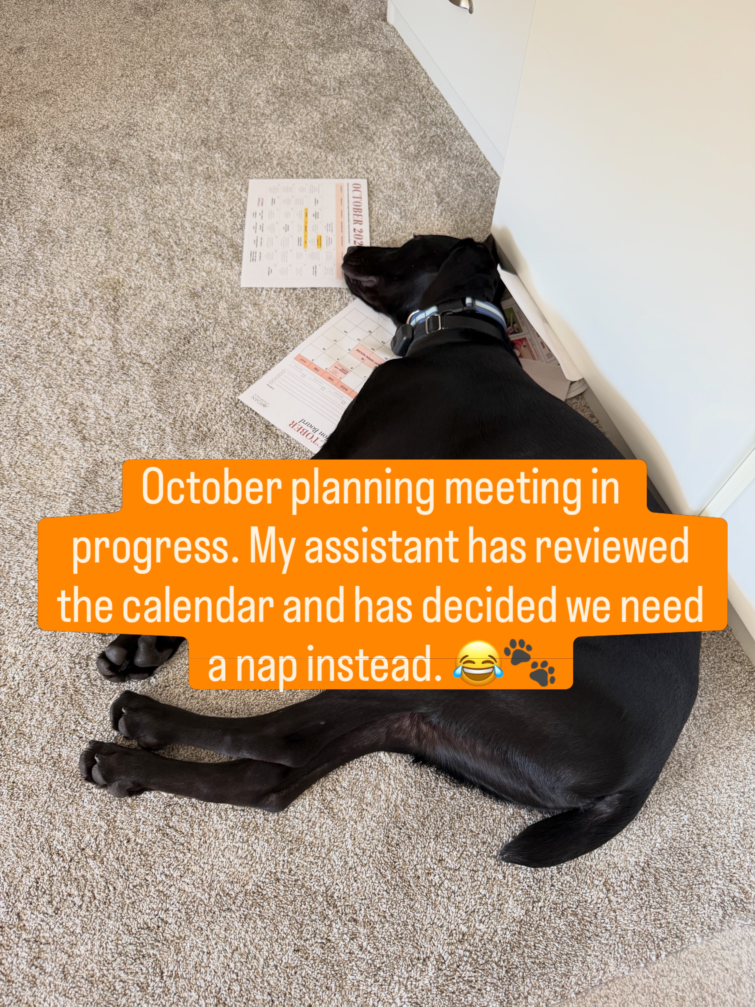 Apparently, productivity is overrated.